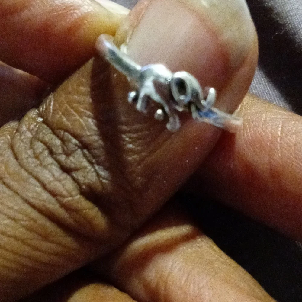 Elephant ring - Picture 3 of 4